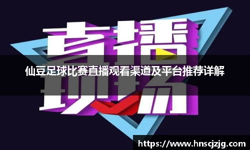 雷竞技官网